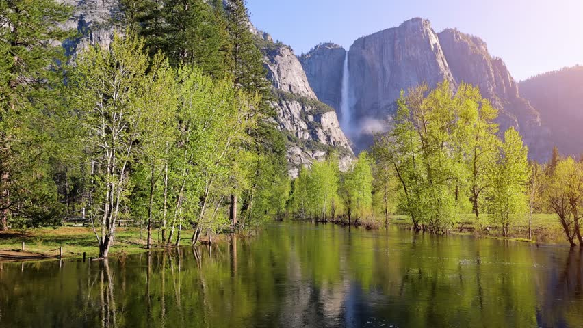Morning sun on the Merced River as it runs through Yosemite National Park in California. Yosemite Falls can be seen in the background.