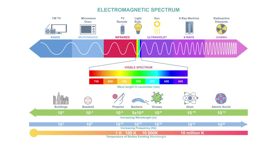 Electromagnetic Spectrum. Moving banner or infographic with wave structure, length, frequency and temperature. Physics educational poster. Science and Technology. Flat animated graphics