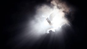 Bright and strong sunlight shines through the dark sky and dark clouds, and a white dove, a symbol of freedom and peace, flies in with a leaf in its beak.
 - Powered by Shutterstock - Get 15% off with code: PIKWIZARD15