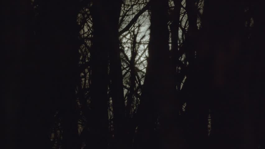 A Full Moon Shines Through The Gnarled Branches Of A Leafless Tree Against A Dark Cloudy Night. The Spooky Vibes And Thriller-Like Atmosphere Are Perfect For Horror Films Or Eerie Visuals.