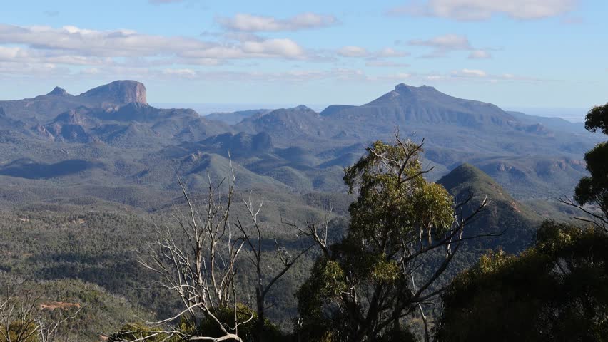 Panoramic view of mountains and trees