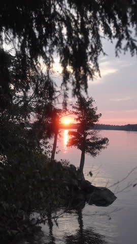 Vertical handheld shot of a vibrant sunset reflecting on the St. Lawrence River, framed by silhouetted trees at Wellesley Island State Park in Fineview, New York.