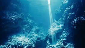 A mesmerizing view of the oceans depths highlights vibrant coral formations lit beautifully by sunlight - Powered by Shutterstock - Get 15% off with code: PIKWIZARD15