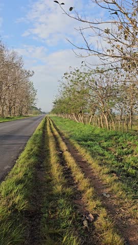 road to cuba, trains through the province of cuba to the caribbean coast
