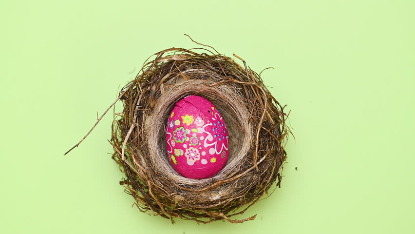 bird nest with easter eggs