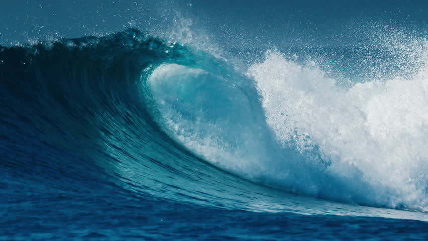 Shutterstock Video