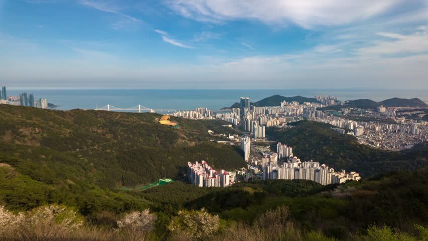 Experience the beauty of nature and urban life in this timelapse video, capturing a scenic view of the sea, towering skyscrapers, and an elegant bridge Busan South Korea.