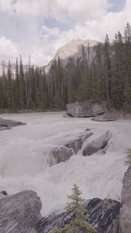 A serene mountain river with rapids, surrounded by pines and rocky cliffs near Emerald Lake