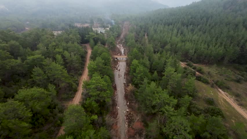 river flowing in the forest
