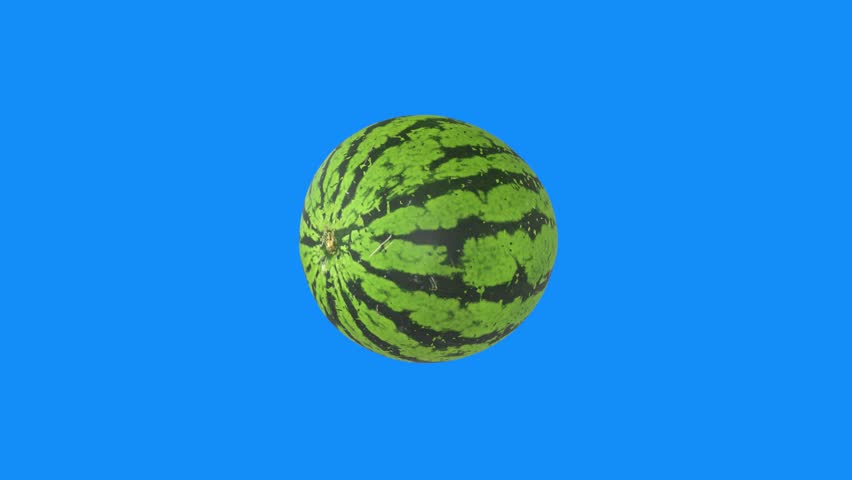 Shutterstock Video