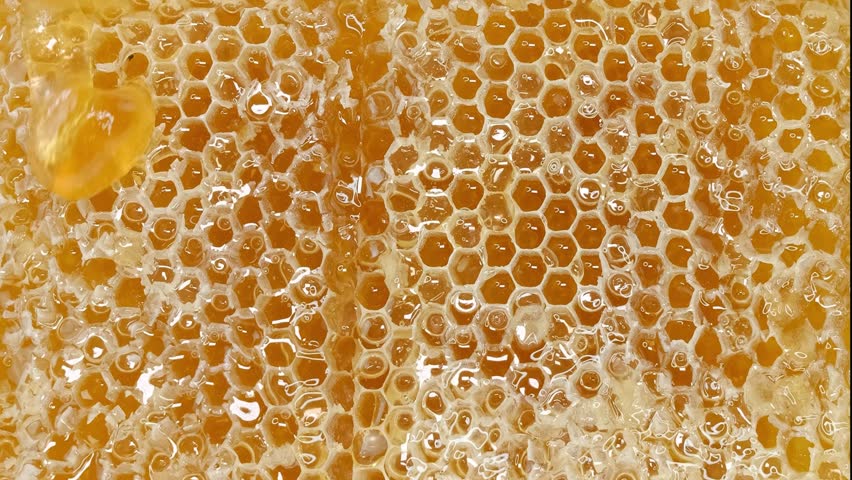 honey flowing over natural honeycombs