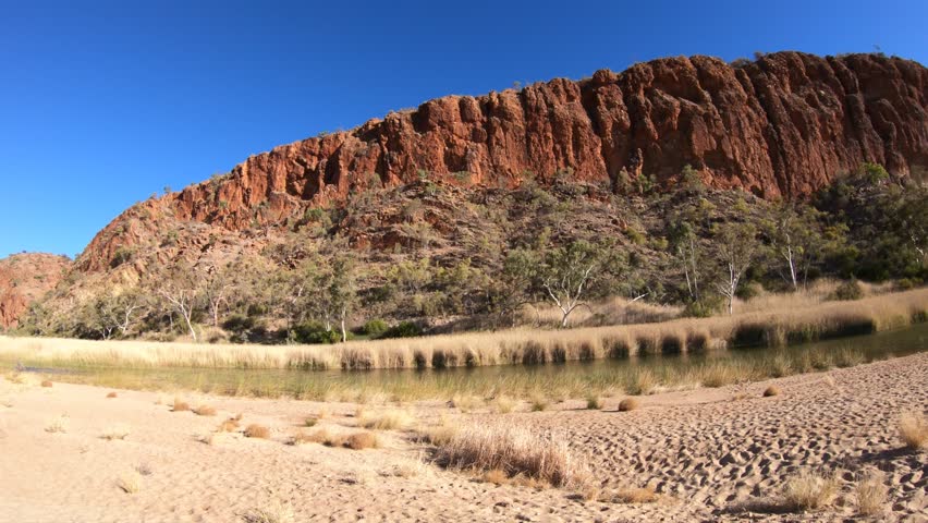 Bush vegetation reflecting at waterhole of Glen Helen Gorge. West MacDonnell Ranges, Northern Territory in Central Australian Outback along Red Centre Way.