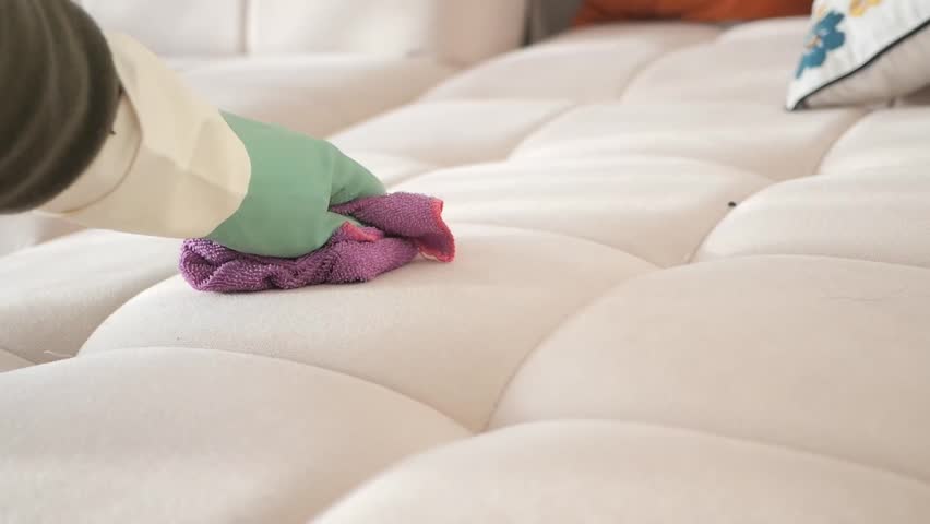 An individual wearing rubber gloves is actively cleaning a sofa by using a cloth