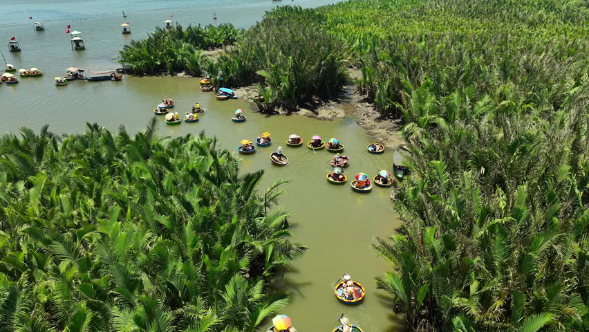 Aerial view Tourists enjoy relaxing and experiencing basket boat ride, traditional boat ride in mangrove forest, palm tree forest in Cam Thanh village, Hoi An, Quang Nam, Vietnam.