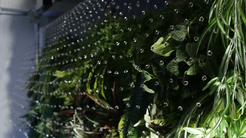 Fountain of water droplets is circulating, creating a magical image of bubbles floating in the air. This technology is called Water Pearl, made in Japan. Often used in nightclubs, parks, and stations.