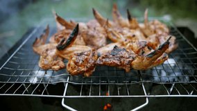 Camping Picnic Grilling Food. Crust Chicken Wings. Fresh Meal On Fire. Appetizing Party Food. Fried Meat On Grill. Spicy Chicken Pepper Chick. Unhealthy Food. Homemade Holiday Flavor Chicken Wings - Powered by Shutterstock - Get 15% off with code: PIKWIZARD15