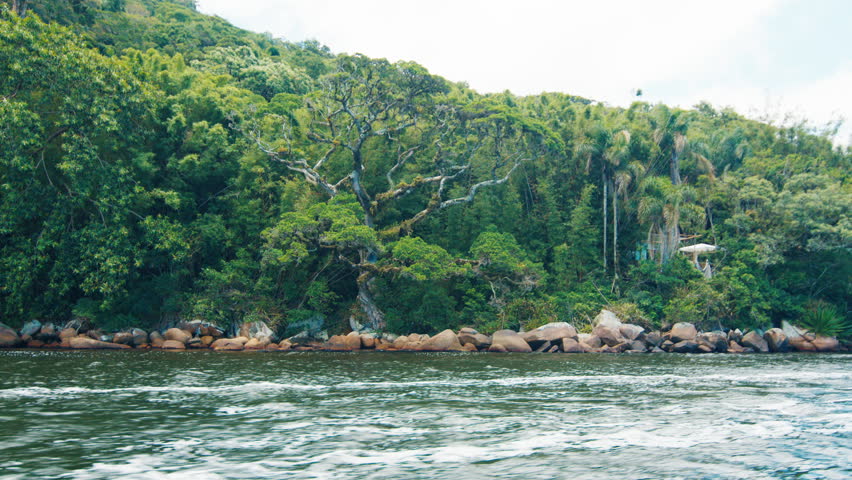 Lush tropical island shore with rocks and trees