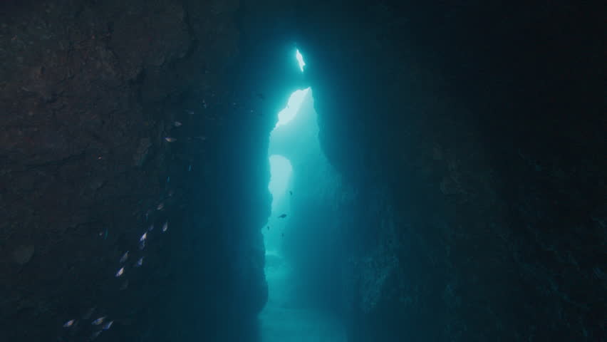 Dark silhouettes of small fish swimming near a rocky arch in the ocean