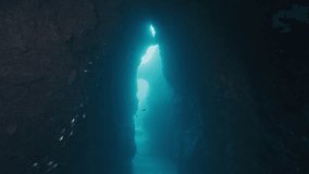 Dark silhouettes of small fish swimming near a rocky arch in the ocean - Powered by Shutterstock - Get 15% off with code: PIKWIZARD15