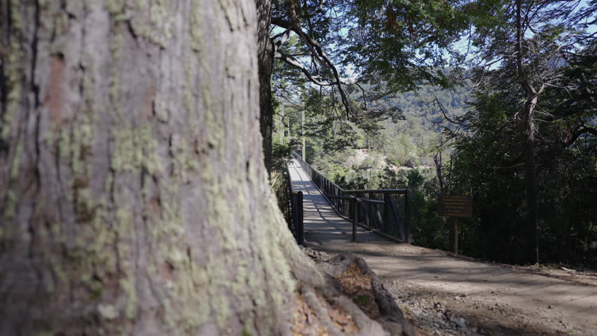 Suspension bridge over the river Arrayanes in a national park, Parque Nacional Los Alerces, Argentina.