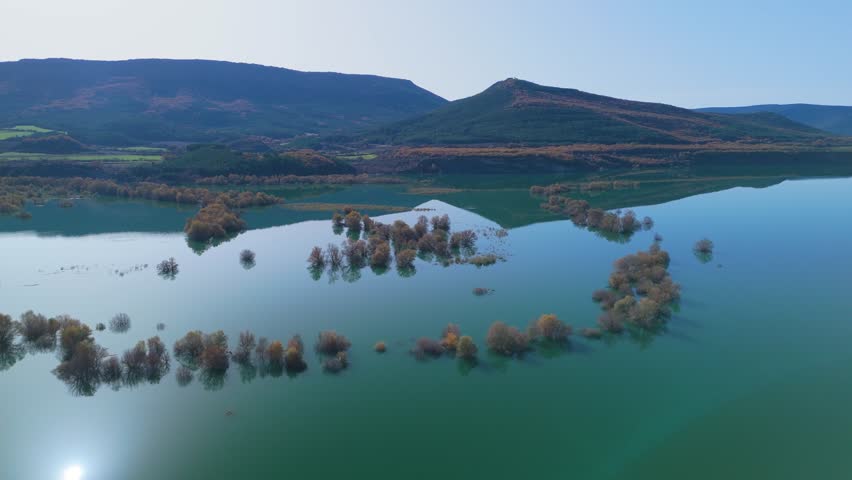 Willow forest flooded by the water of the Aragon River in the Yesa Reservoir. Pre-Pyrenees of the province of Zaragoza. Autonomous Community of Aragon. Spain. Europe.
