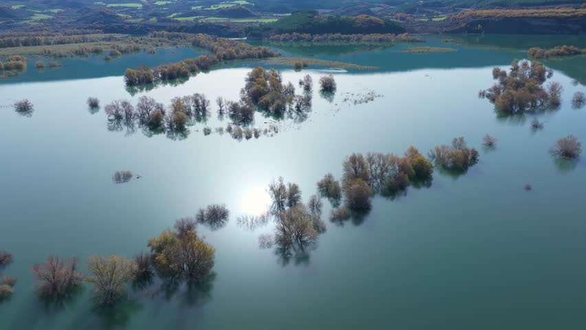 Willow forest flooded by the water of the Aragon River in the Yesa Reservoir. Pre-Pyrenees of the province of Zaragoza. Autonomous Community of Aragon. Spain. Europe.