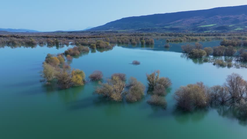 Willow forest flooded by the water of the Aragon River in the Yesa Reservoir. Pre-Pyrenees of the province of Zaragoza. Autonomous Community of Aragon. Spain. Europe.