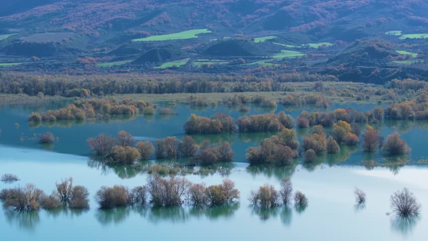 Willow forest flooded by the water of the Aragon River in the Yesa Reservoir. Pre-Pyrenees of the province of Zaragoza. Autonomous Community of Aragon. Spain. Europe.