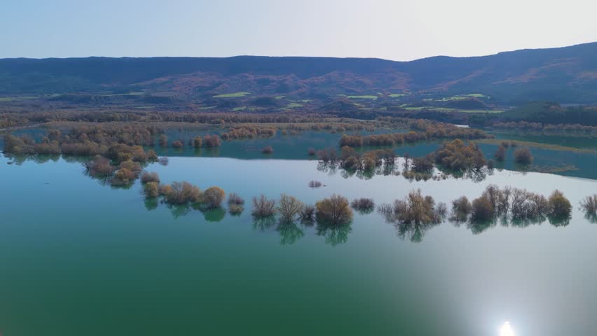 Willow forest flooded by the water of the Aragon River in the Yesa Reservoir. Pre-Pyrenees of the province of Zaragoza. Autonomous Community of Aragon. Spain. Europe.