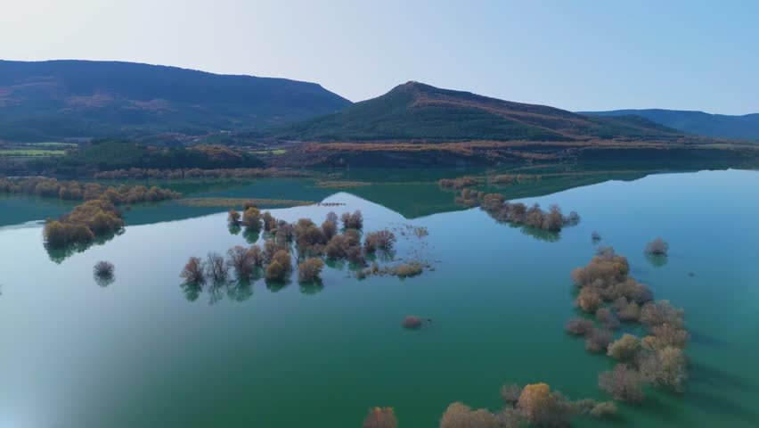 Willow forest flooded by the water of the Aragon River in the Yesa Reservoir. Pre-Pyrenees of the province of Zaragoza. Autonomous Community of Aragon. Spain. Europe.