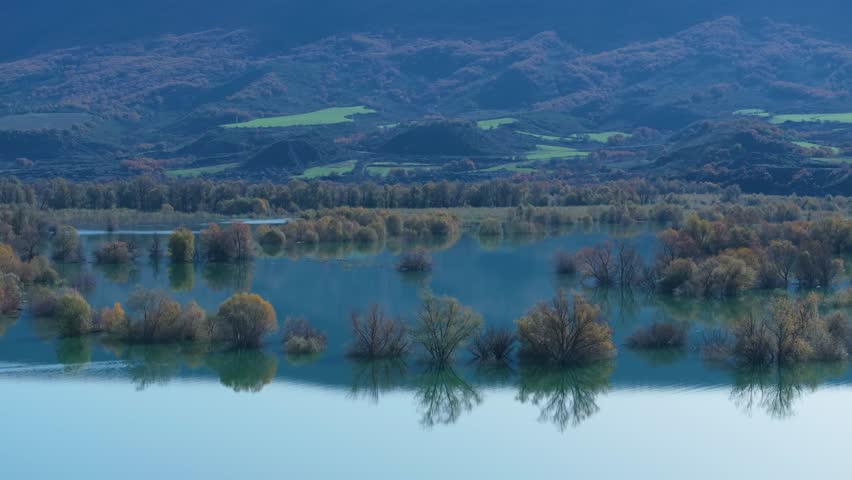 Willow forest flooded by the water of the Aragon River in the Yesa Reservoir. Pre-Pyrenees of the province of Zaragoza. Autonomous Community of Aragon. Spain. Europe.