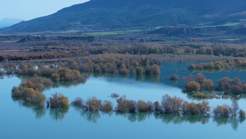Willow forest flooded by the water of the Aragon River in the Yesa Reservoir. Pre-Pyrenees of the province of Zaragoza. Autonomous Community of Aragon. Spain. Europe.