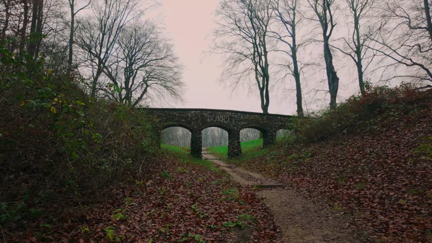 Forest path leading to a stone arch bridge surrounded by bare trees and fallen leaves. Captured on a misty autumn day, highlighting the quiet natural environment in Europe.