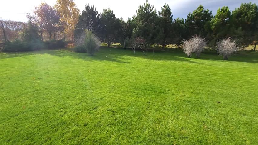 Green evenly cut lawn in the yard