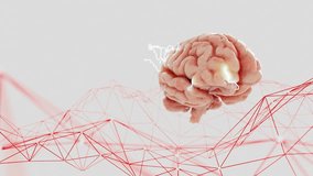 3D human brain with glowing neural activity above abstract red wireframe network. Futuristic concept of artificial intelligence and neuroscience on a white background - Powered by Shutterstock - Get 15% off with code: PIKWIZARD15