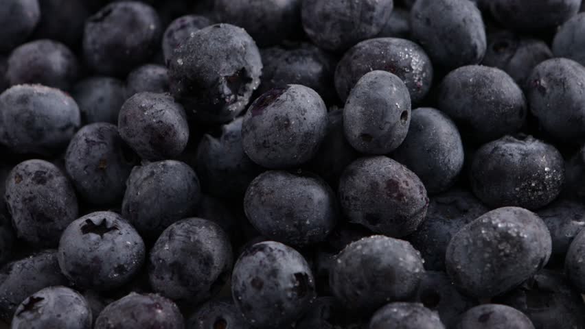 close up of blueberry frozen food rotation