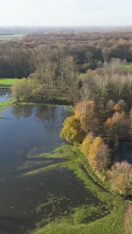 reveals swamp flooded fields near forest trees belgium scenic natural diverse ecosystems present region aerial panning shot view beauty visual delight experience community culture