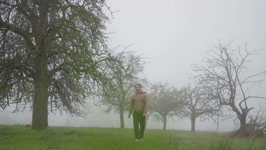 A serene misty landscape is depicted, featuring a lone figure walking through natures beauty