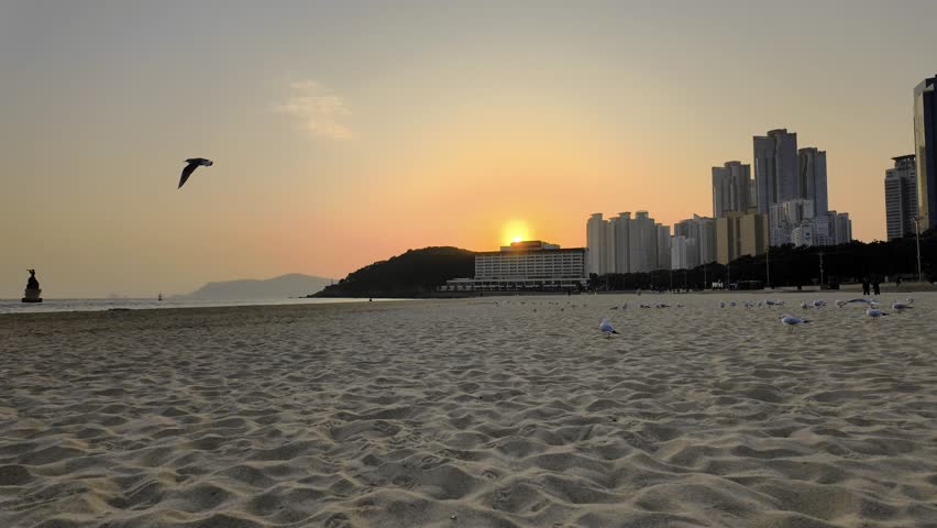 Seaside view of Busan, South Korea