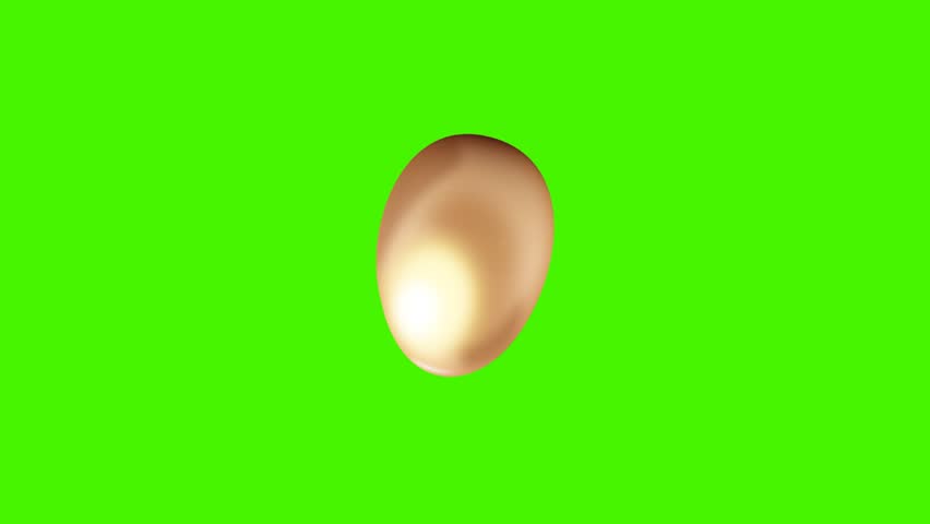 Rolling golden egg animation isolated on green background. Concept of food, cartoon, and easter egg background.