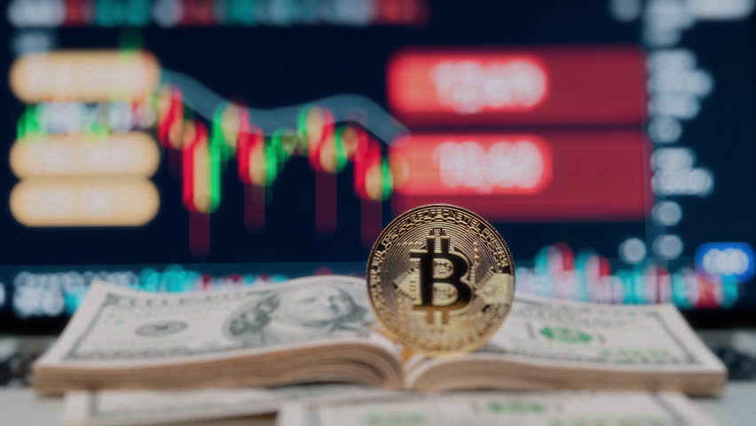 Focusing on Bitcoin shines a light as we explore currency trends, market analysis, and financial strategies. 3D Illustration