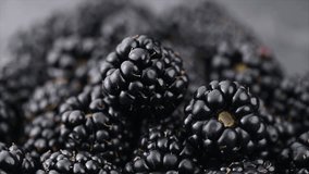 Blackberry closeup, blackberries background. Fresh Ripe organic black berries rotating over gray backdrop, close-up. Macro shot. Market. Vegan food, macro shot - Powered by Shutterstock - Get 15% off with code: PIKWIZARD15