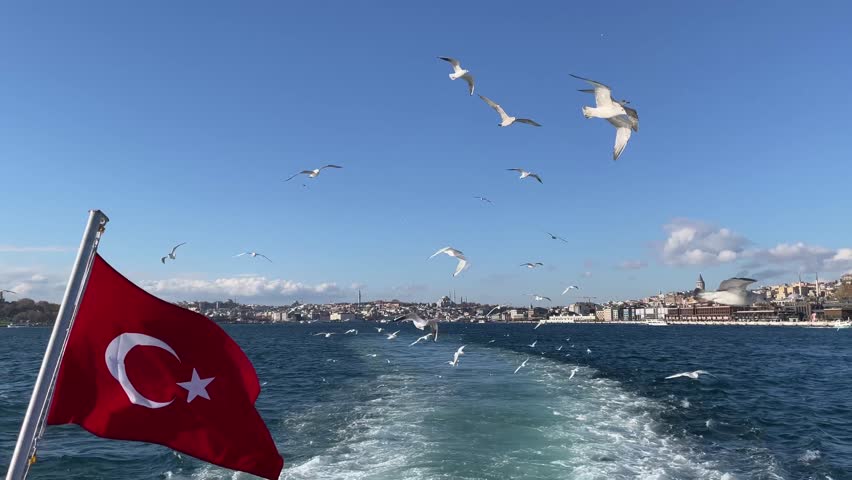Seagulls fly in Istanbul along the Bosphorus Strait, freedom in the flight of birds, the natural beauty of the sea with old heritage architecture. 