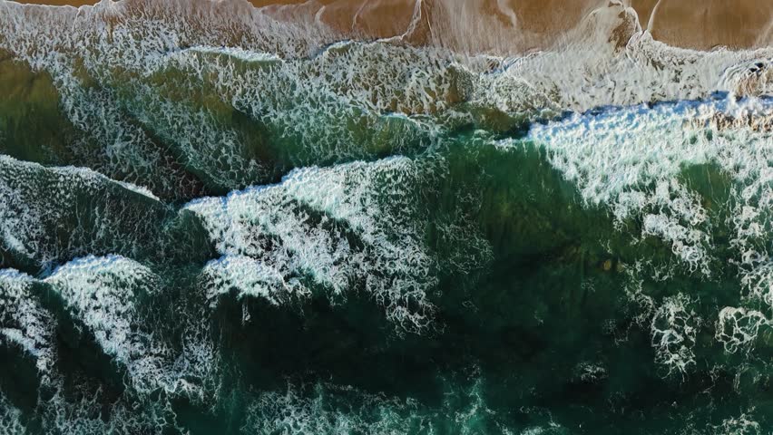 Shutterstock Video