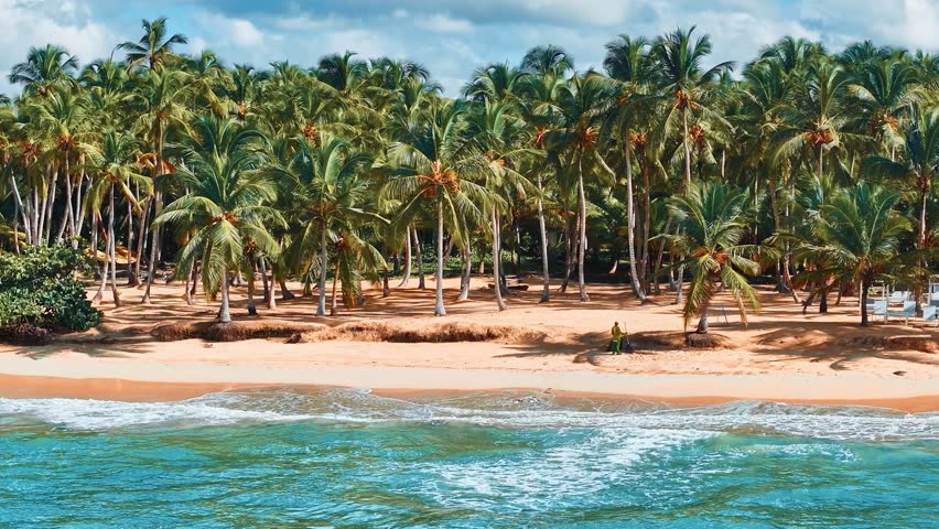 Resort palm beach and turquoise ocean on paradise island. Calm summer vacation or holiday landscape. Summer vacation and tropical beach concept in Caribbean.