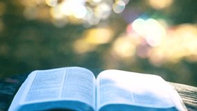 Open book with glowing sunlight and colorful bokeh background in natural outdoor setting. Inspiration and learning concept - Powered by Shutterstock - Get 15% off with code: PIKWIZARD15