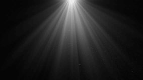 Volume Light from Top in the Dark Seamless. White Lamp Rays Shining on Black Background with Flying Backlit Dust Particles Looped 3d Animation 4k. Design Element for Overlays. - Powered by Shutterstock - Get 15% off with code: PIKWIZARD15