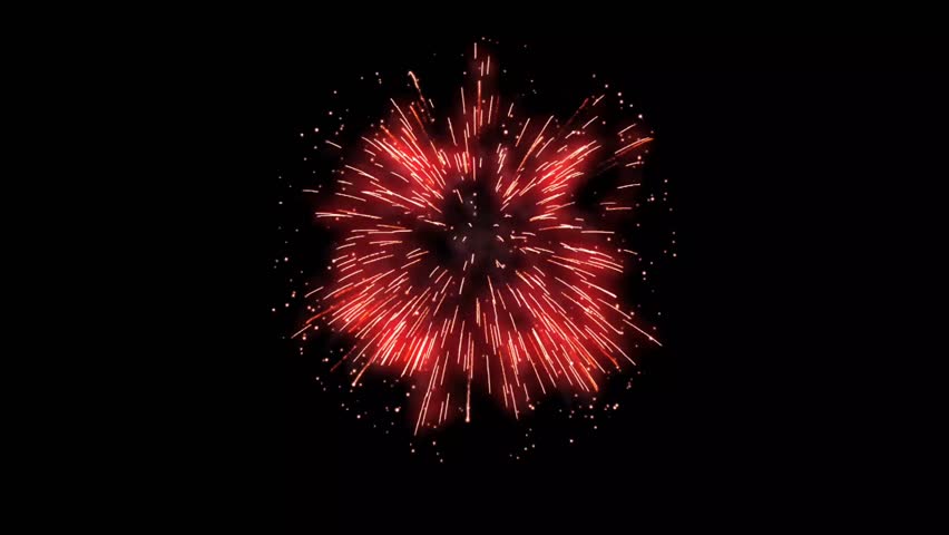 Fireworks animation explodes in vibrant colors on a black screen creating a dazzling display of sparks bursts and trails for celebrations festive or joyful scenes