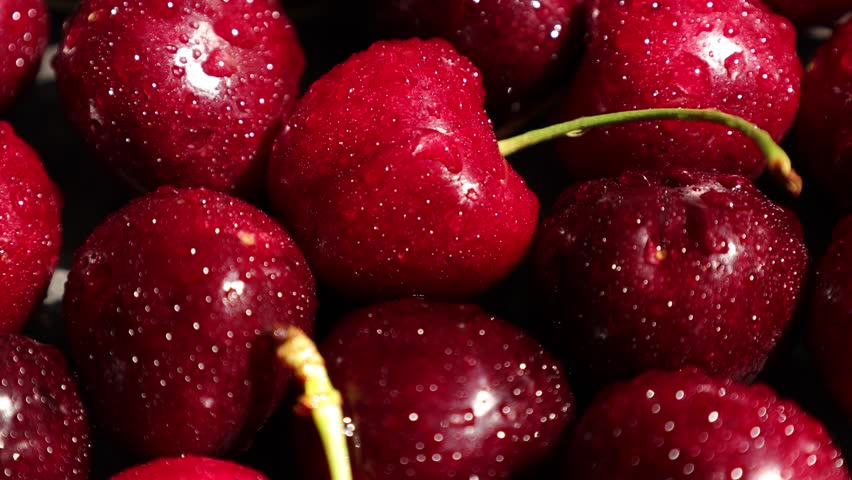 Closeup of cherry fruit, red cherries 