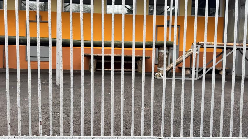 A tiger is in a cage with a fence. The cage is in a zoo